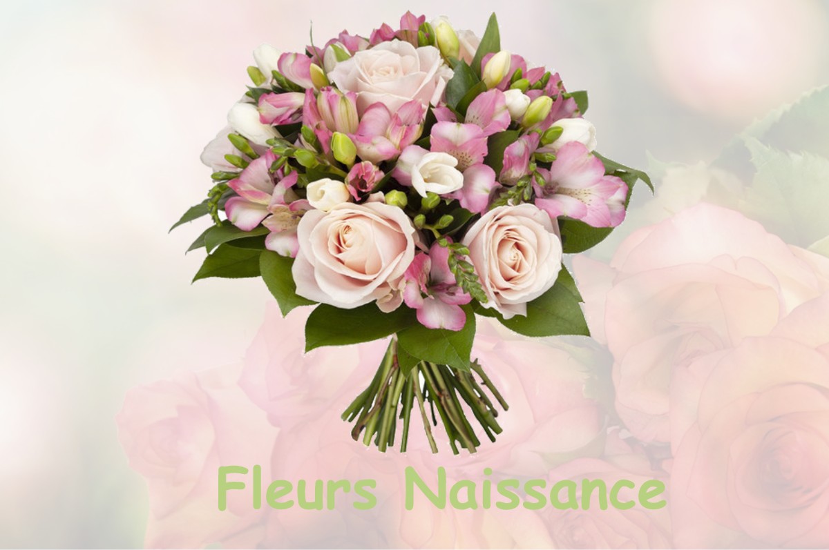 fleurs naissance BOIS-COLOMBES