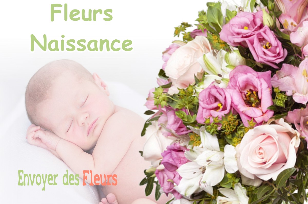 lIVRAISON FLEURS NAISSANCE à BOIS-COLOMBES